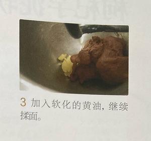 巧克力软欧（直接法）简单易操作的做法 步骤3