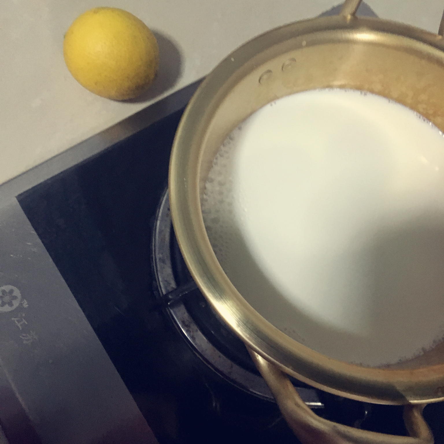 鲜奶酪/乡村奶酪