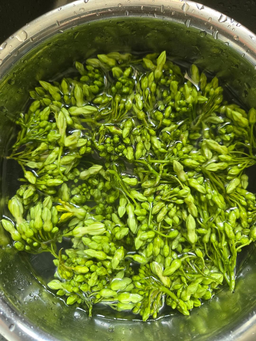 夏季食谱—凉拌夜香花