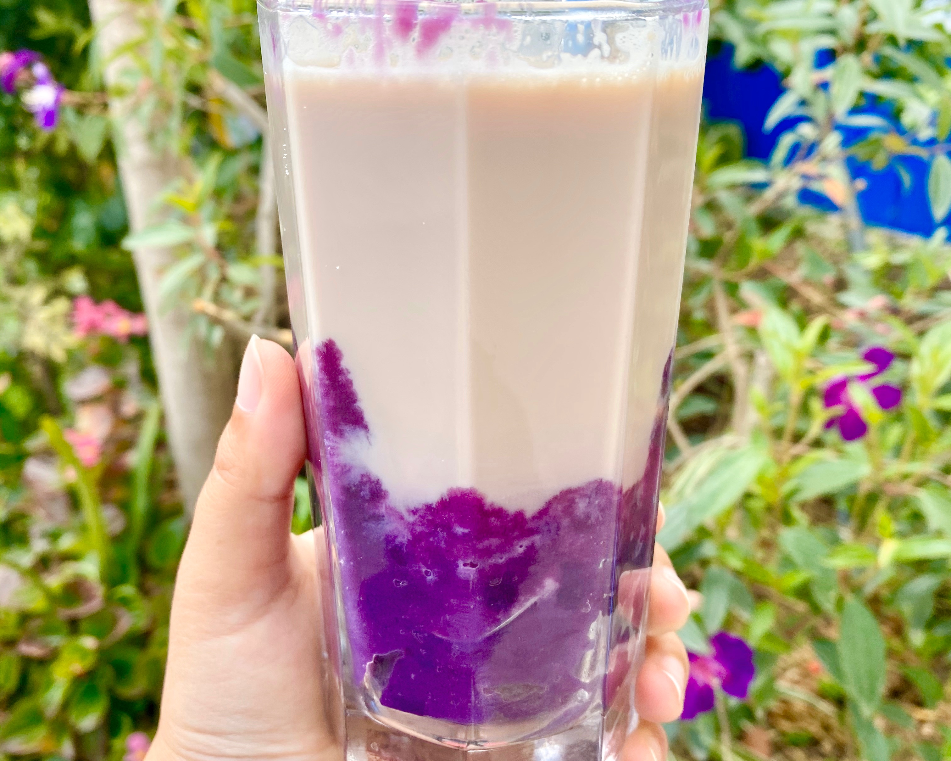 超简单-紫薯泥奶茶/鲜奶的做法