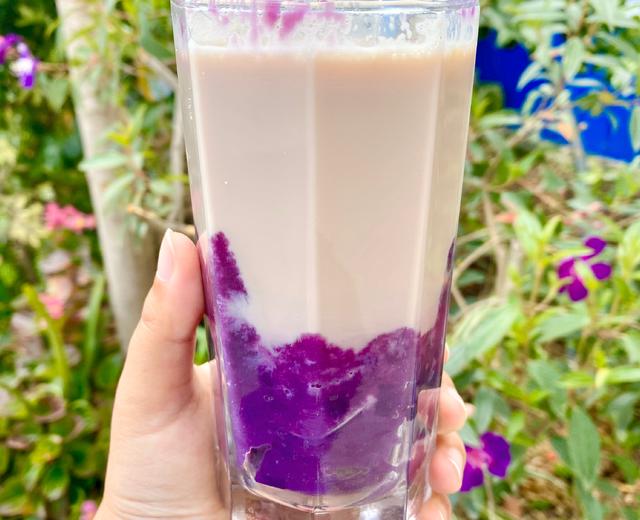 超简单-紫薯泥奶茶/鲜奶