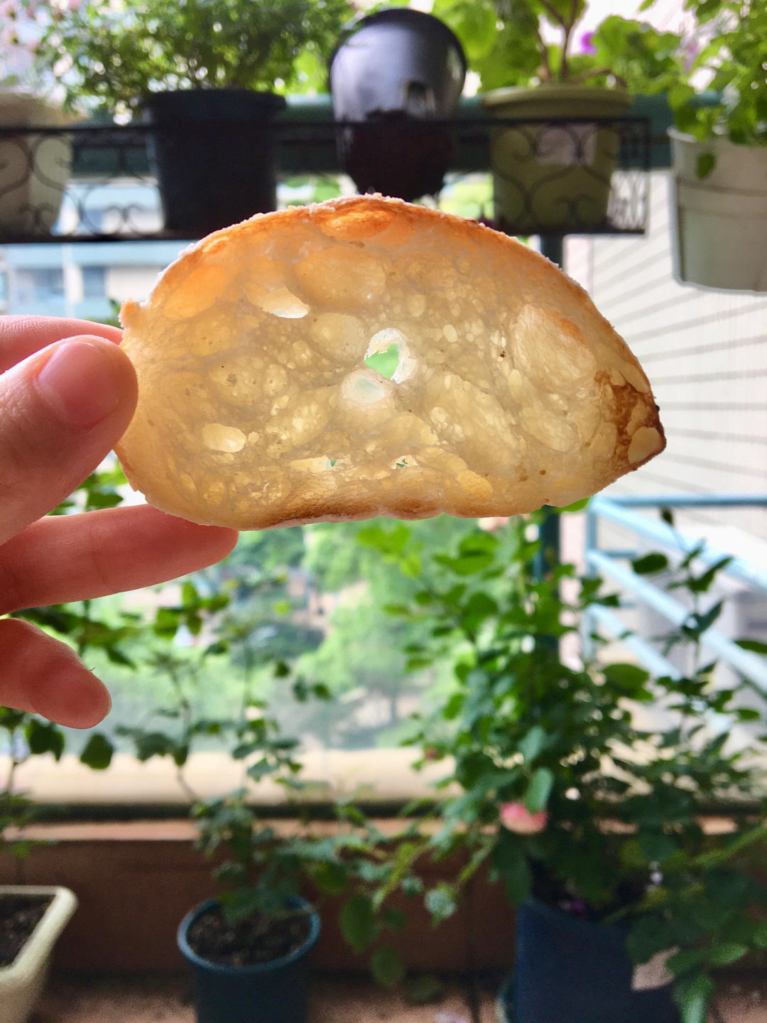 零机器免揉|徒手做出漂亮大气孔欧包|恰巴塔Ciabatta