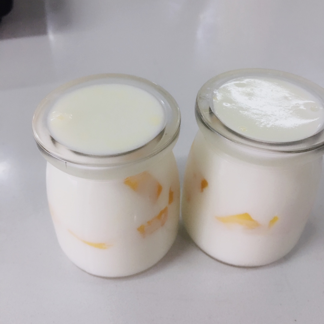 酸奶布丁（免火免烤）