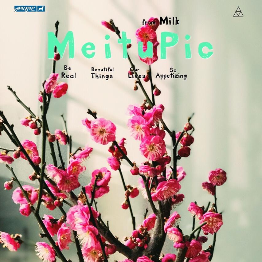 爱做美食的小猫妈妈