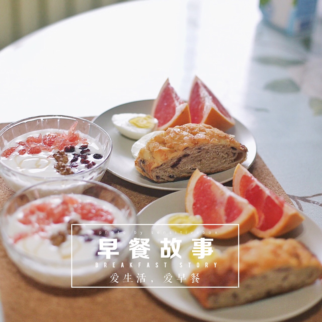自制希腊酸奶