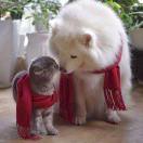 手机用户7695_yl0m