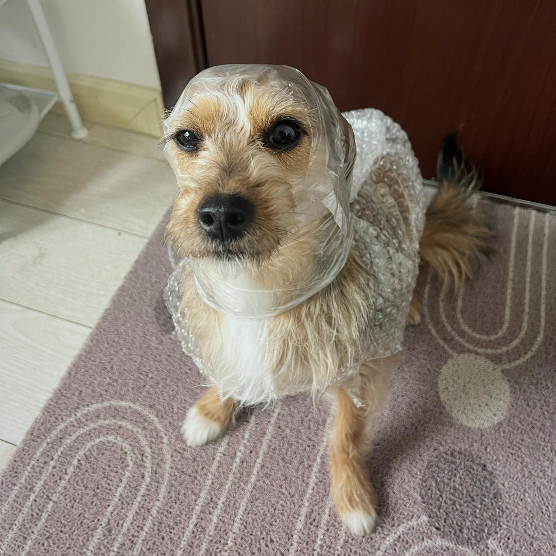 终于有地方晒我做过的菜啦