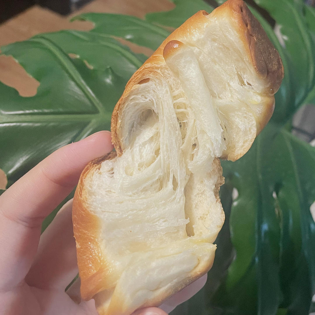 绵软的云朵北海道中种小面包