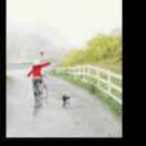 手机用户9052_0491