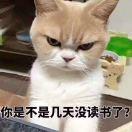 西瓜菠萝蜜糖
