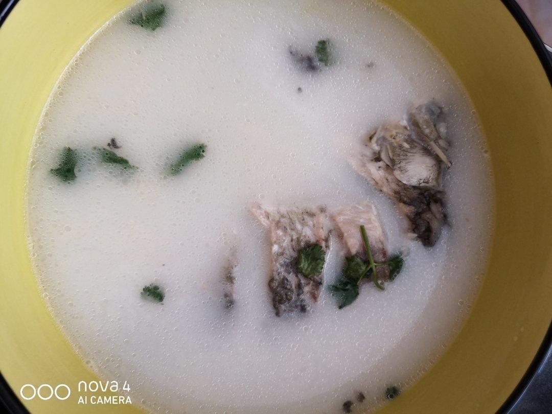 清炖鲫鱼汤 三个关键步骤让你轻松炖出汤浓味鲜色白似奶的鲫鱼汤