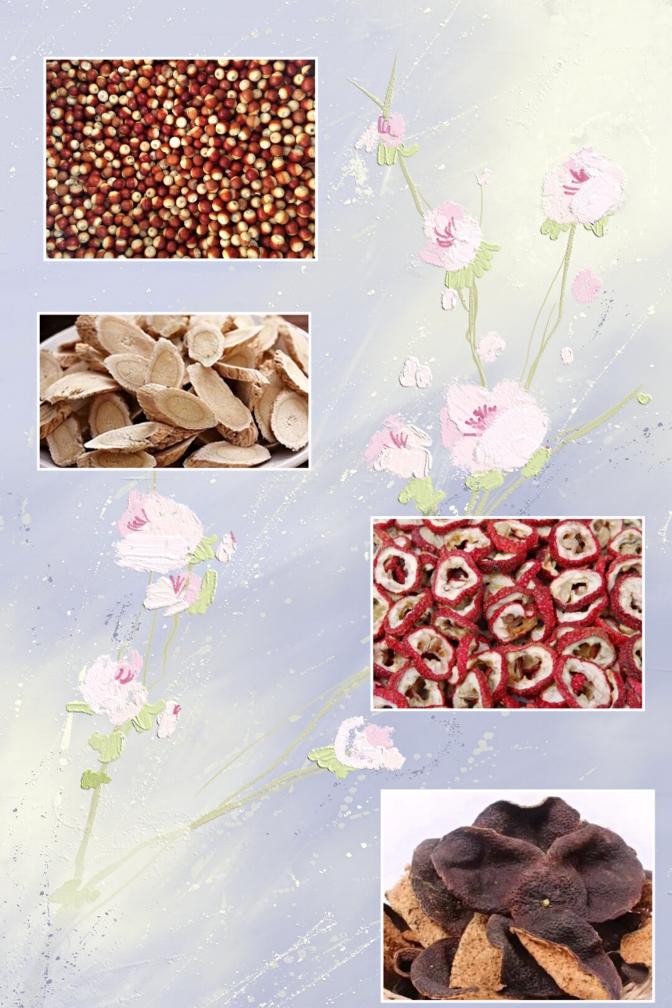 广式汤（四）助瘦身、利湿消肿劲刮脂黄芪芡实煲老鸭的做法