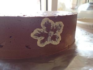 巧克力慕斯玫瑰绣花蛋糕的做法 步骤35