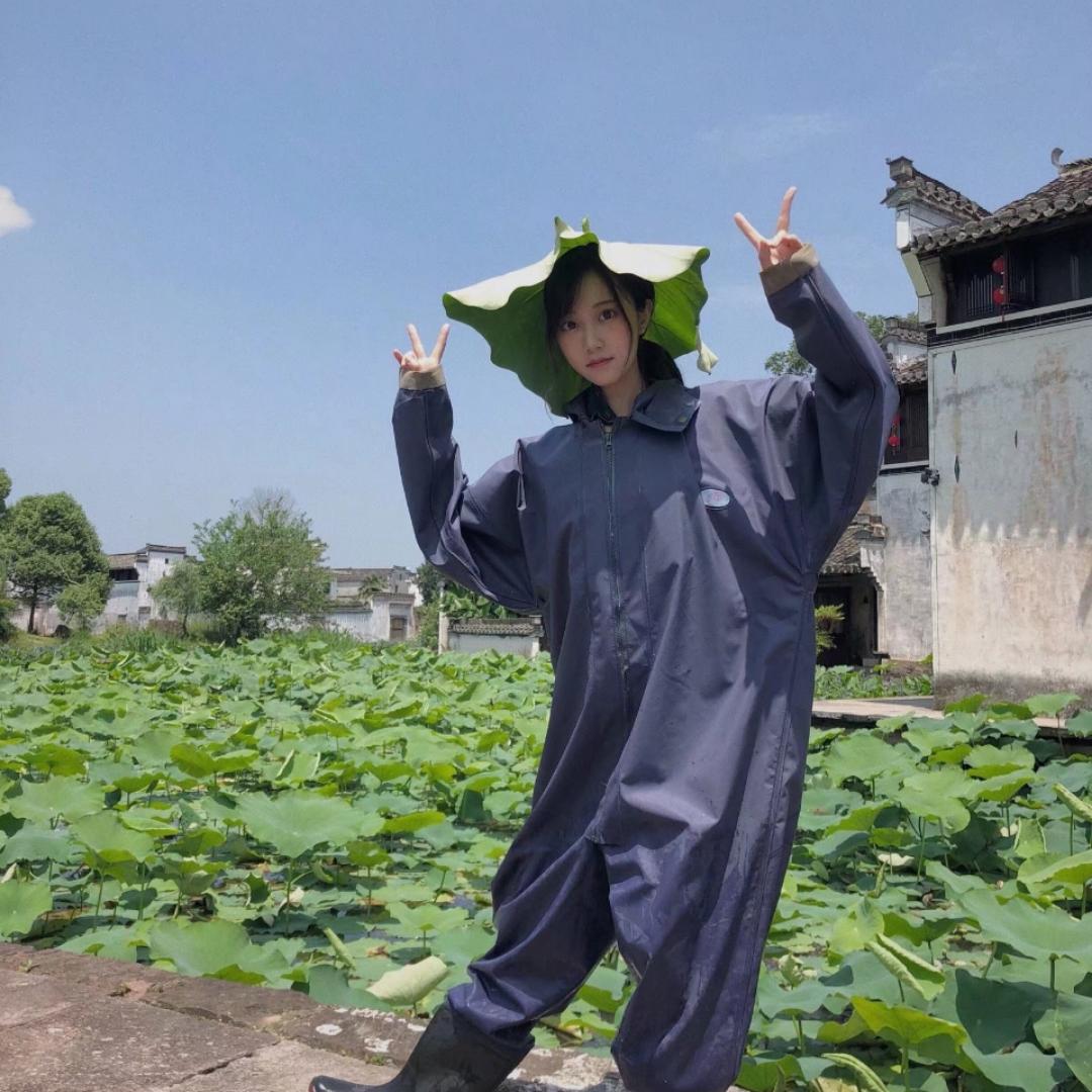 圭朵