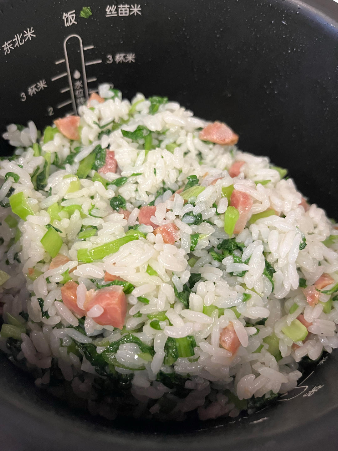 上海菜饭/上海咸酸饭（电饭煲版）