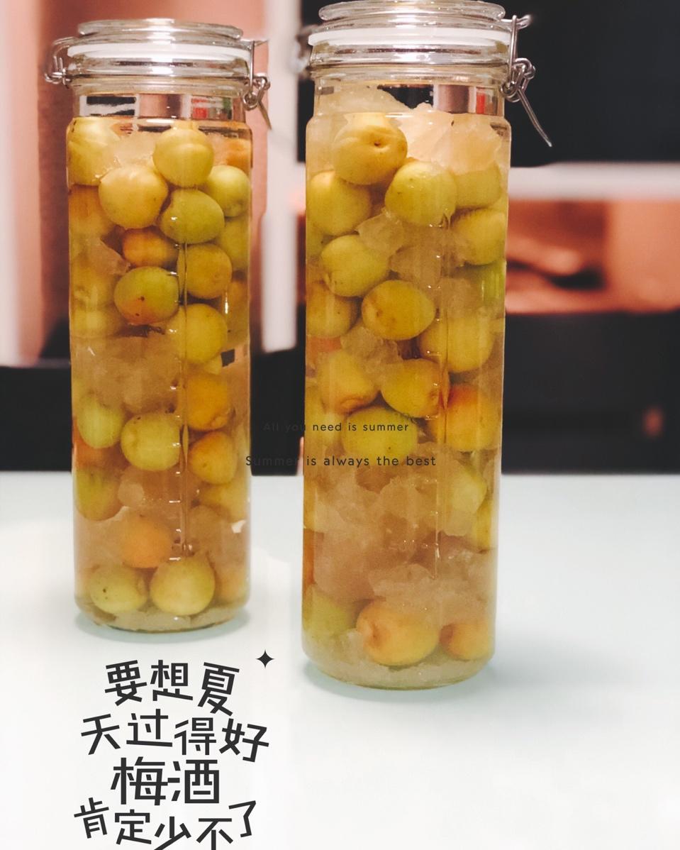 【青梅酒】梅子的沉醉时光（已填坑）
