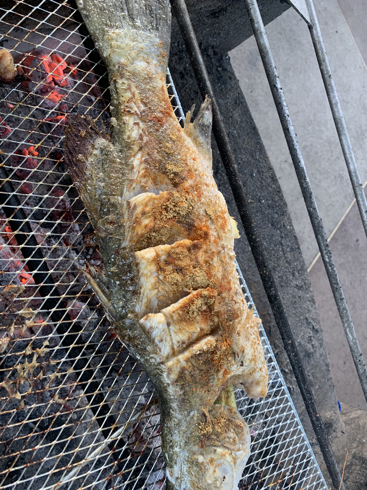 烤鱼，炭火烤鱼，烤全鱼，户外烧烤BBQ必备技