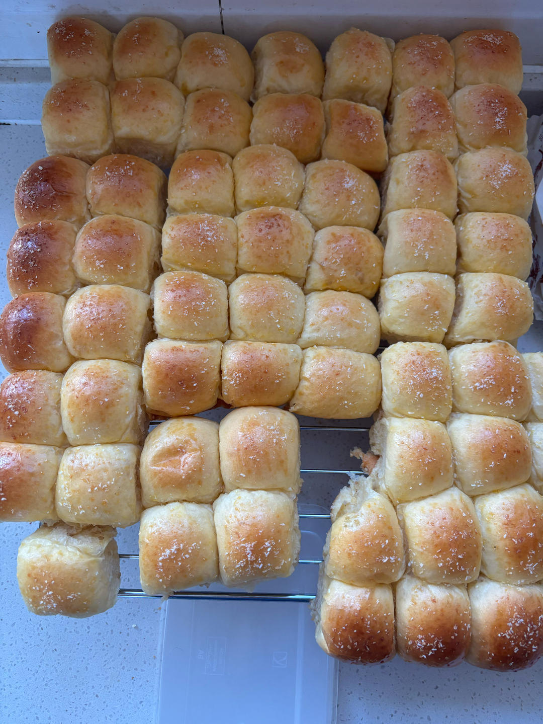 椰蓉脆底小面包，一口一个不吱声