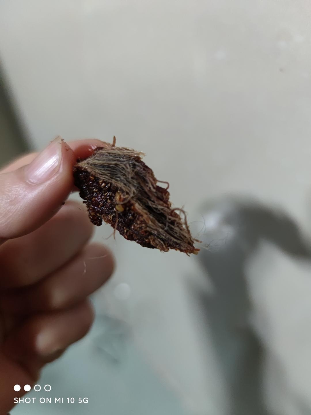 自制牛肉干（没有烤箱也能做）