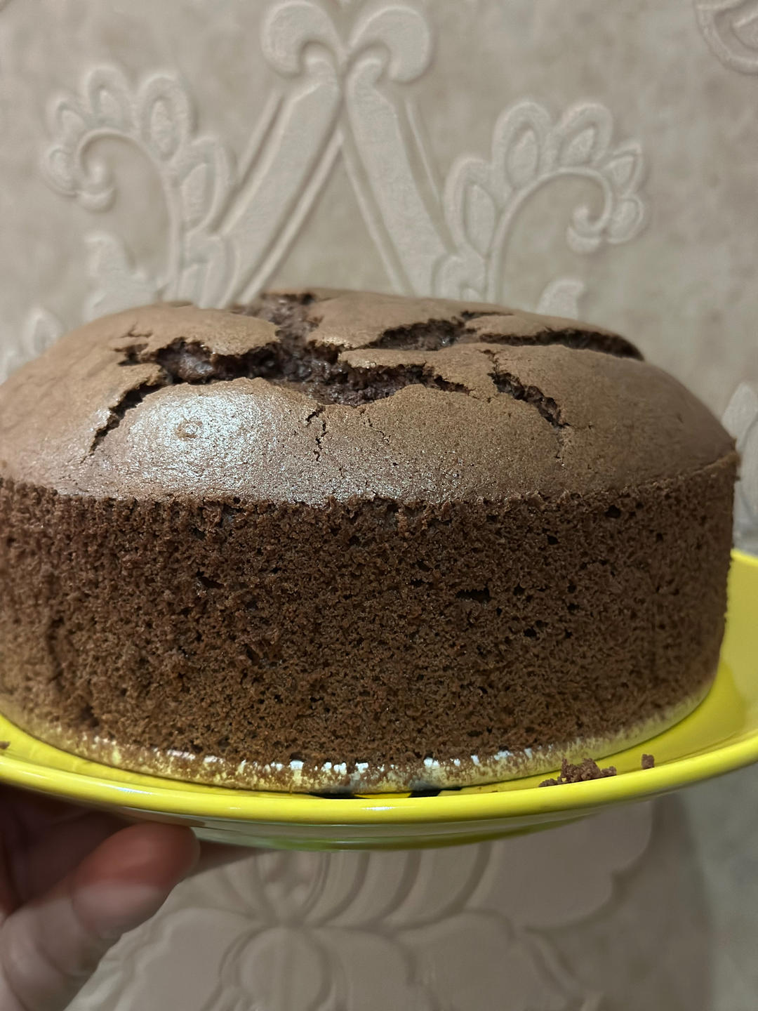 巧克力戚风蛋糕6寸(基础易成功版)