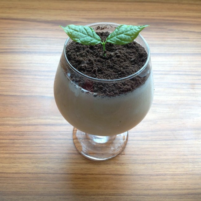 宝贝吖头做的盆栽酸奶