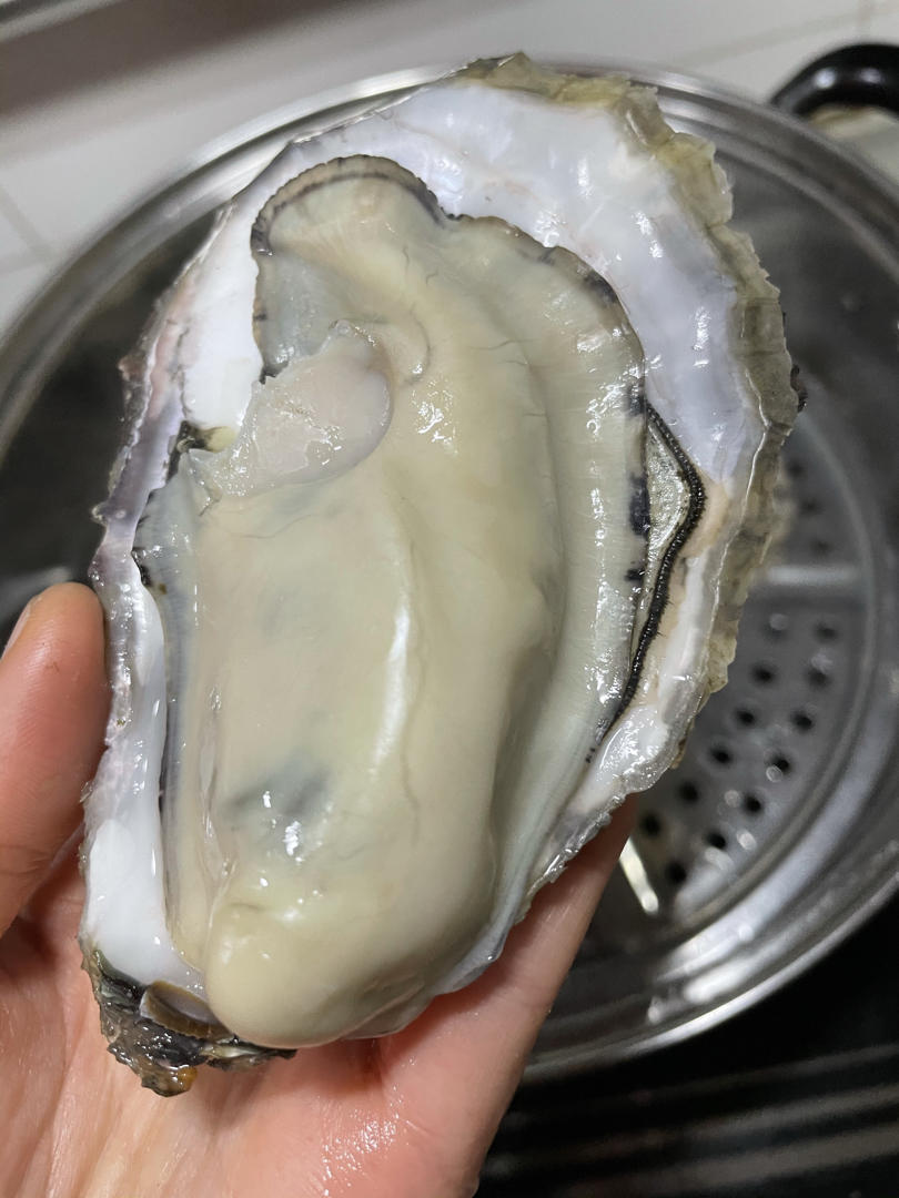 简单3分钟蒸生蚝🦪