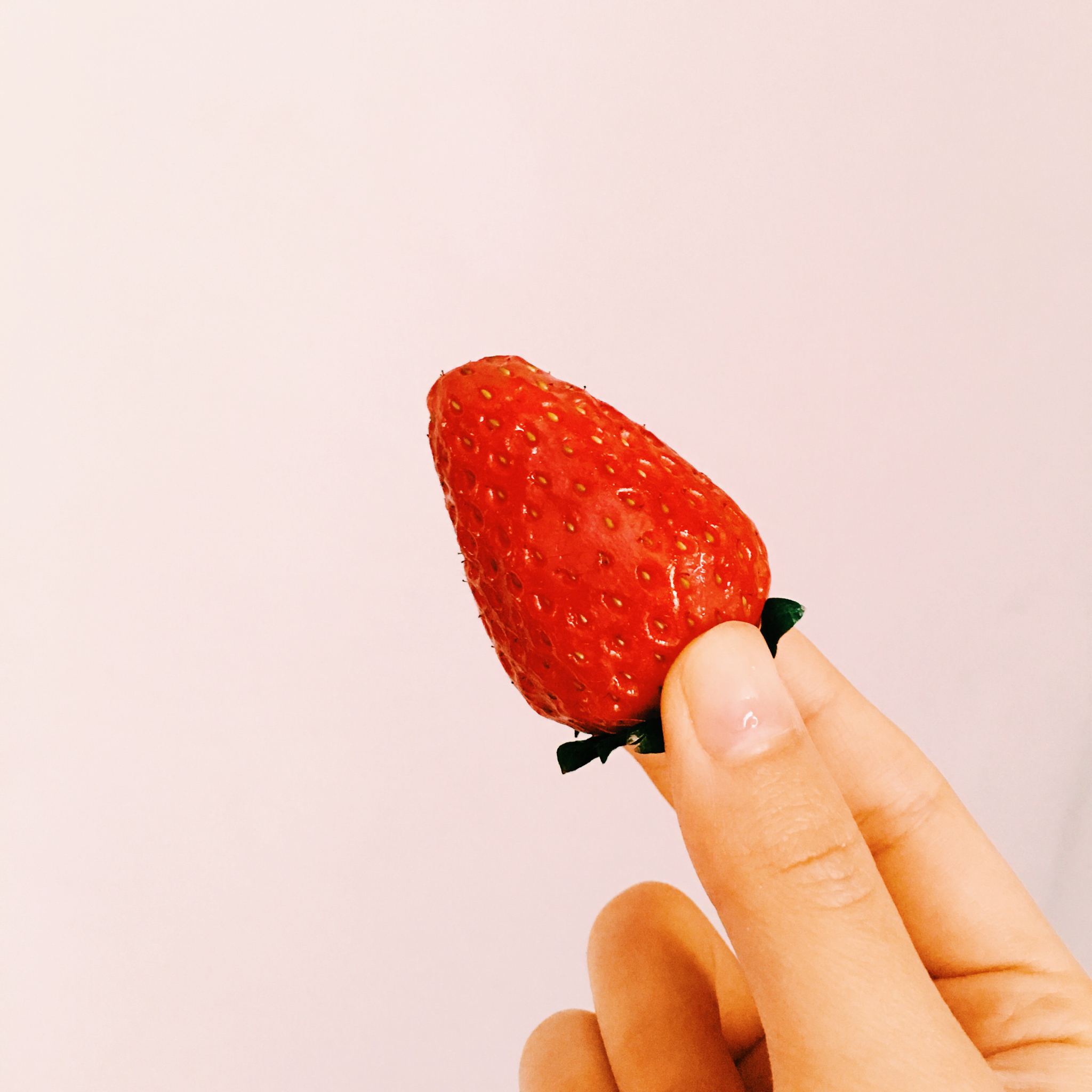 家 %温暖和幸福的记忆