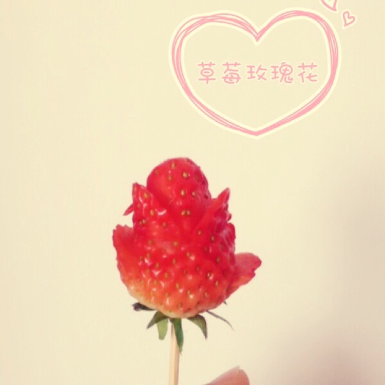 草莓玫瑰花