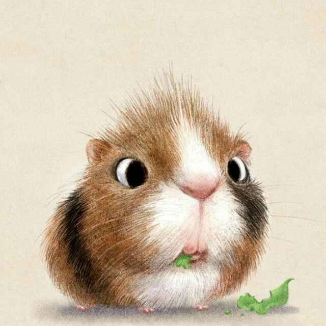 吃货吃货么么哒