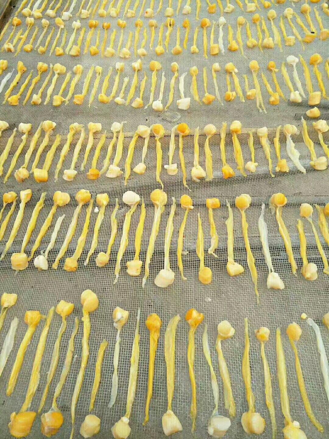 早餐•2017年10月31日