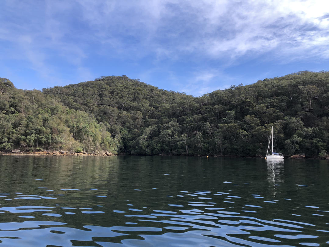 蟹黄豆腐（咸蛋黄版）超下饭快手菜家常菜  蟹粉豆腐（适合新手）
