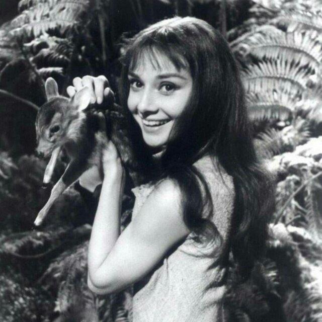 張丽玲