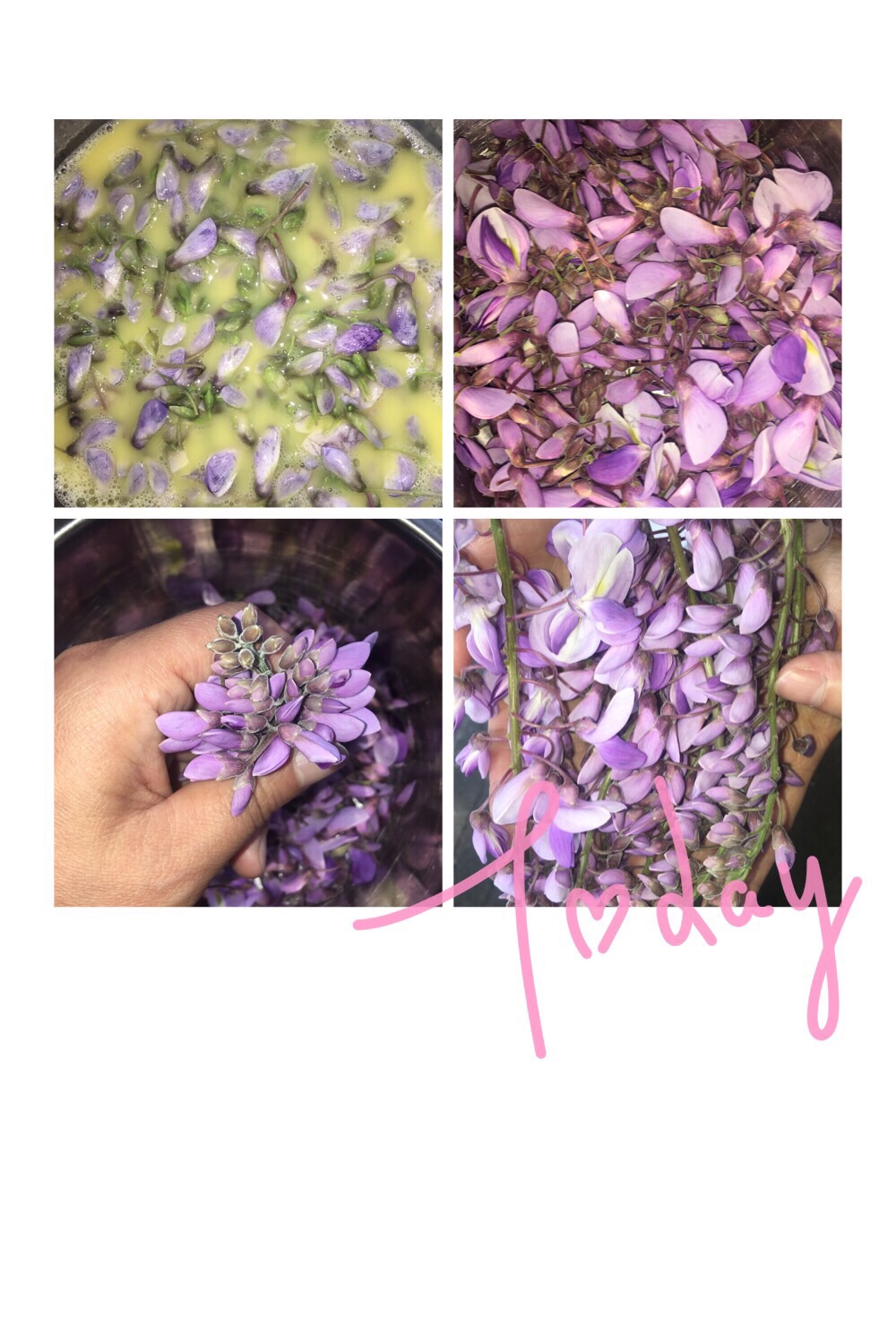 紫藤花的做法