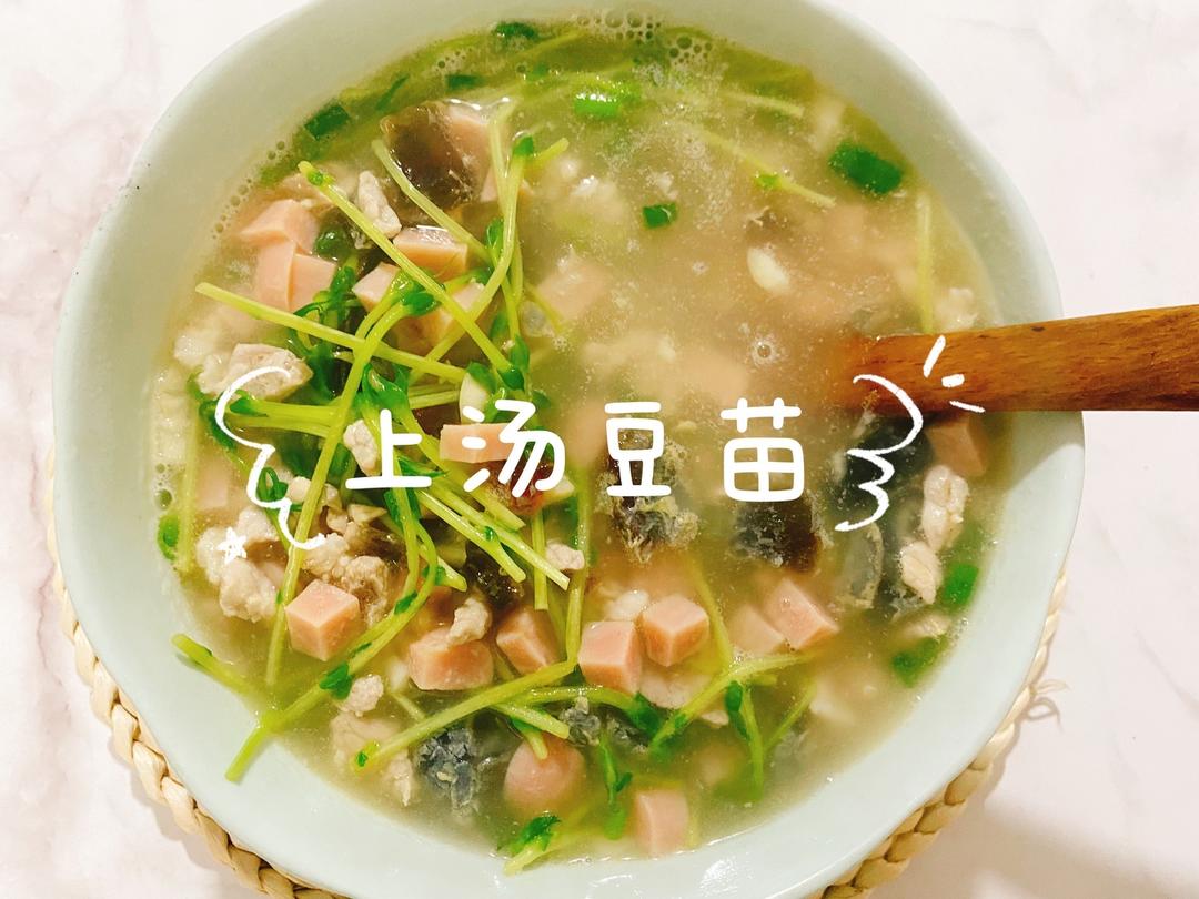 【上汤豆苗】特色粤菜，爽口解腻，鲜美好吃