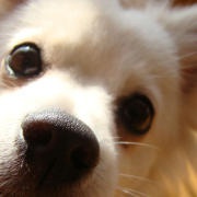 kuma_美好的假期