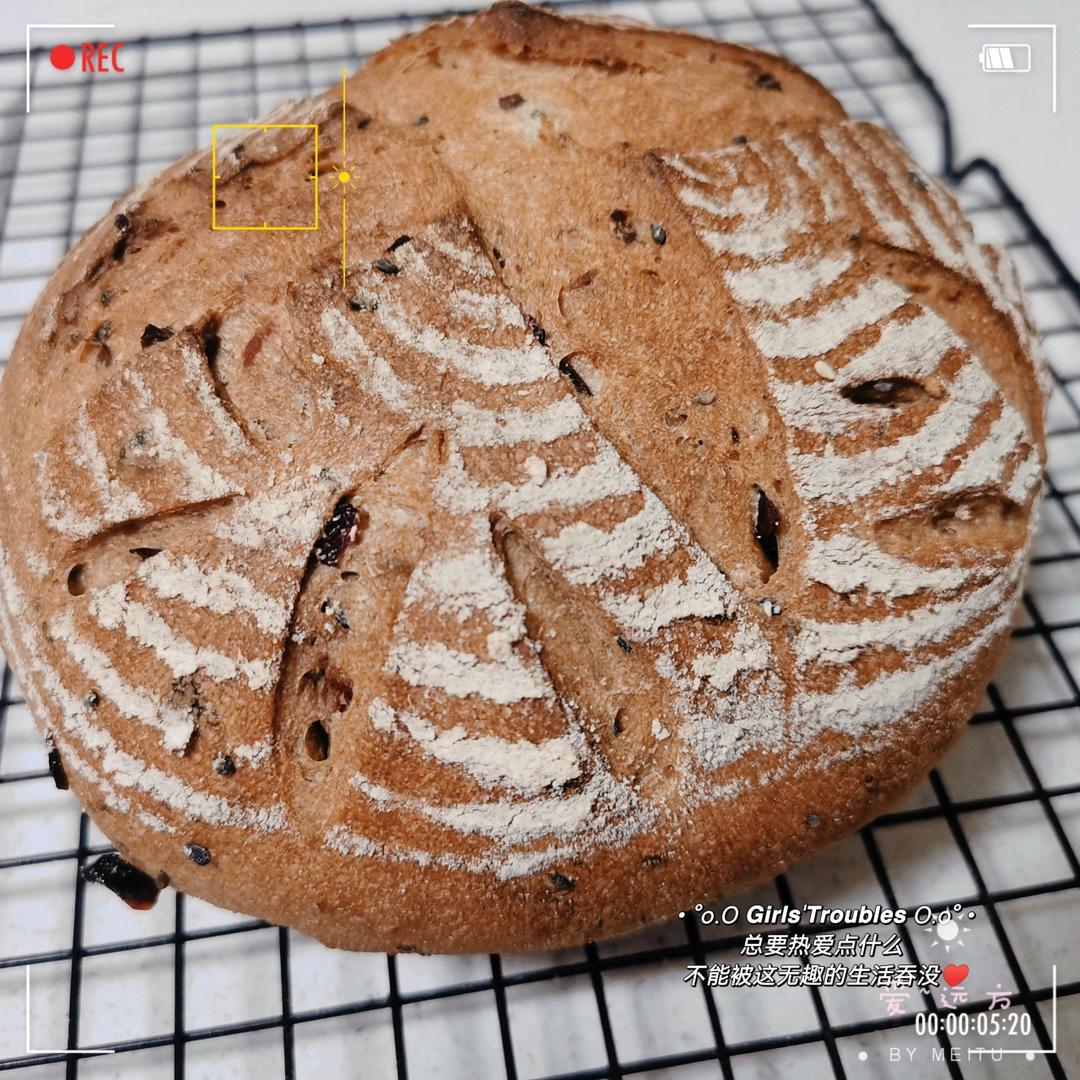 天然酵母黑麦红糖坚果欧包