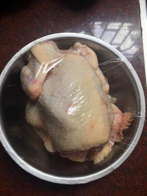 电饭煲版：广式手撕鸡的做法 步骤2