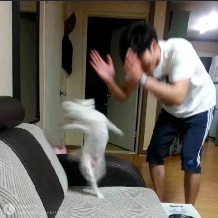 D_G