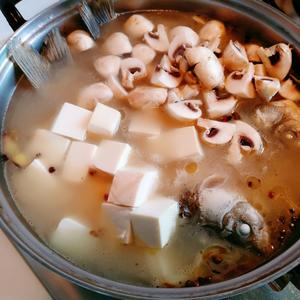 鲫鱼豆腐蘑菇汤的做法 步骤4