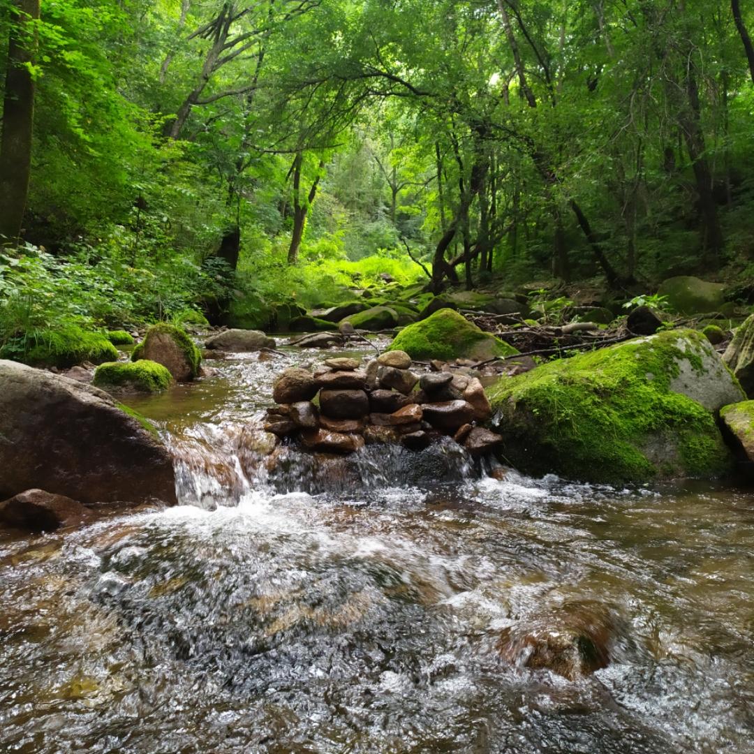 下厨房用户_小刀