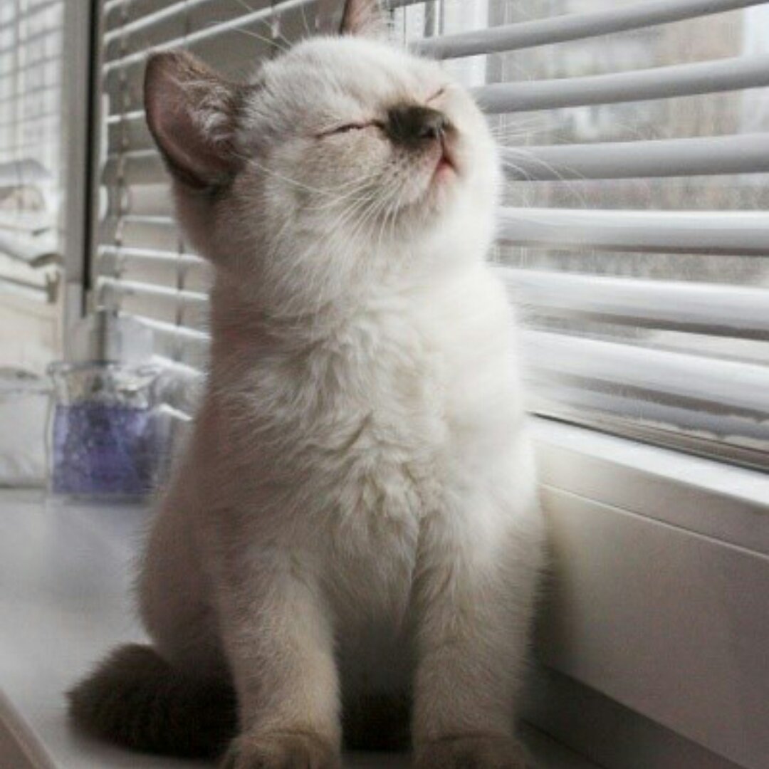 手机用户4959_nxzt