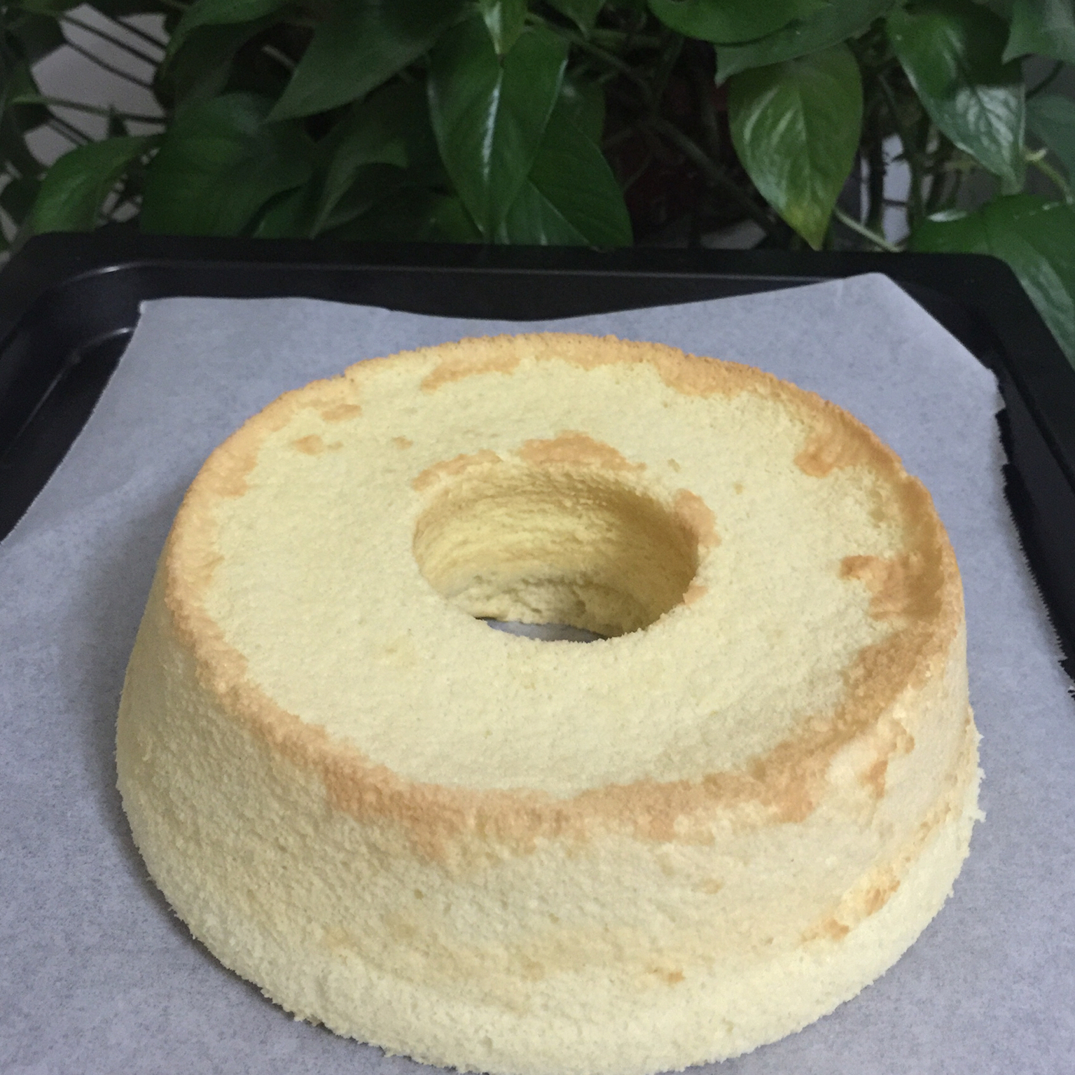 日本棉花蛋糕