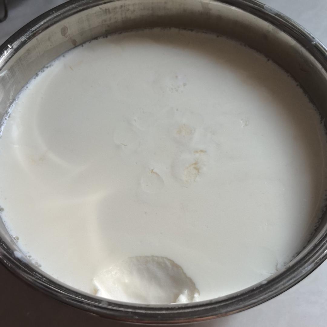 奶皮子酸奶（自用）