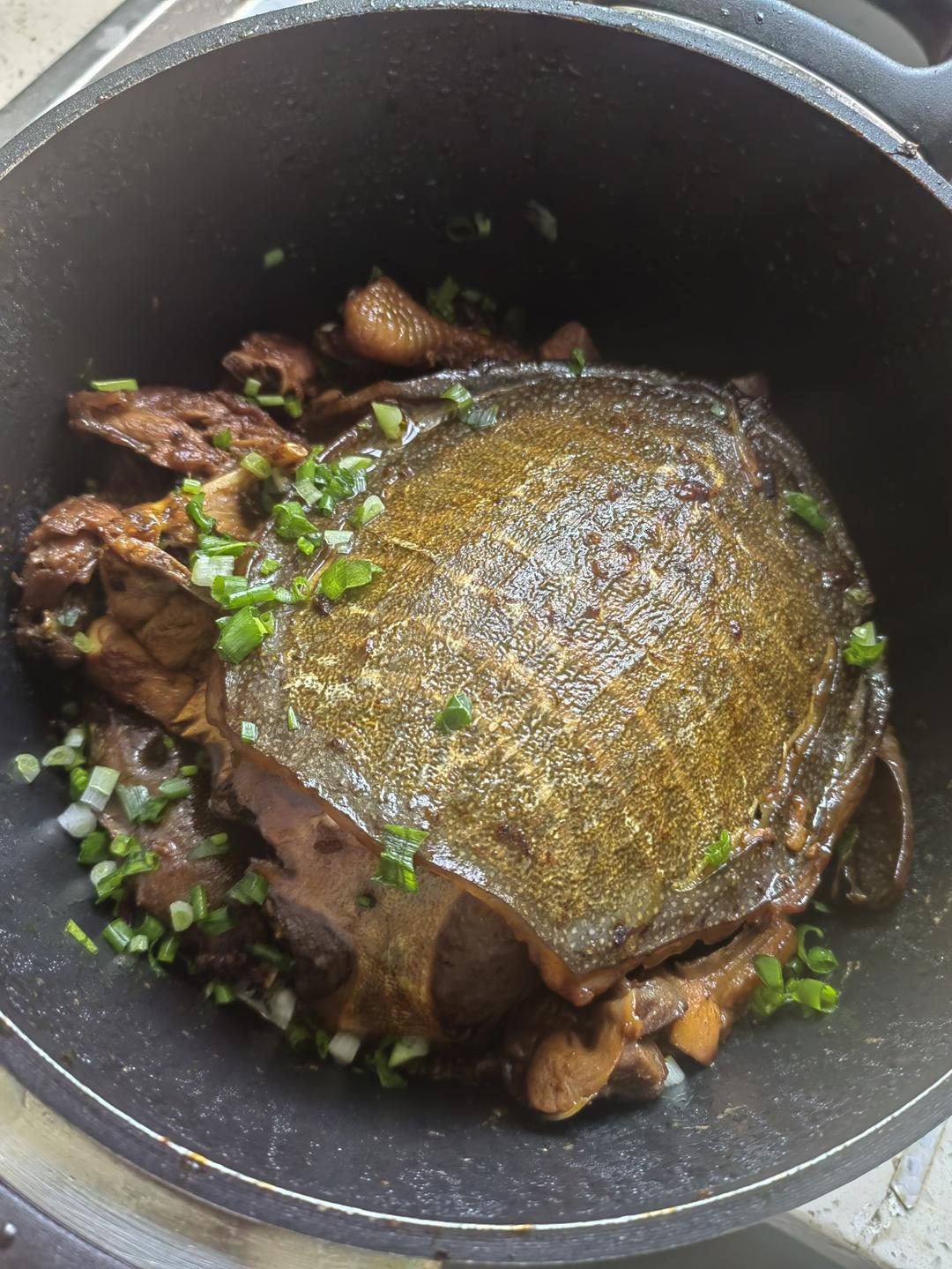 霸王别鸡(甲鱼焖鸡)