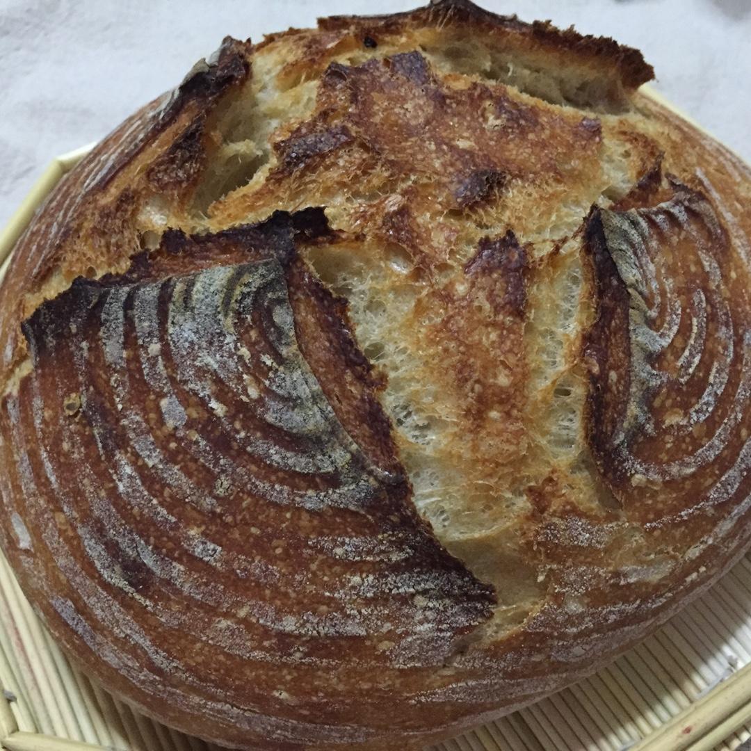 【Tartine Bread】天然酵种基础乡村欧包
