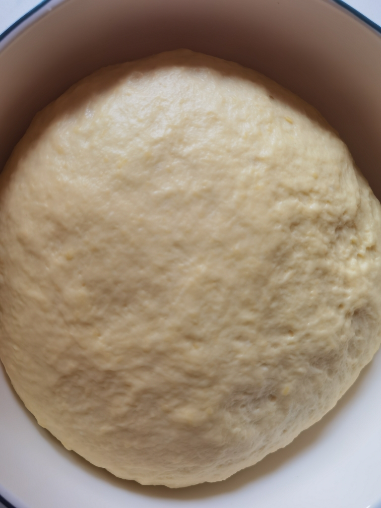 好吃的老面包，用普通面粉就可以做，不揉手套膜一样柔软拉丝的做法 步骤13