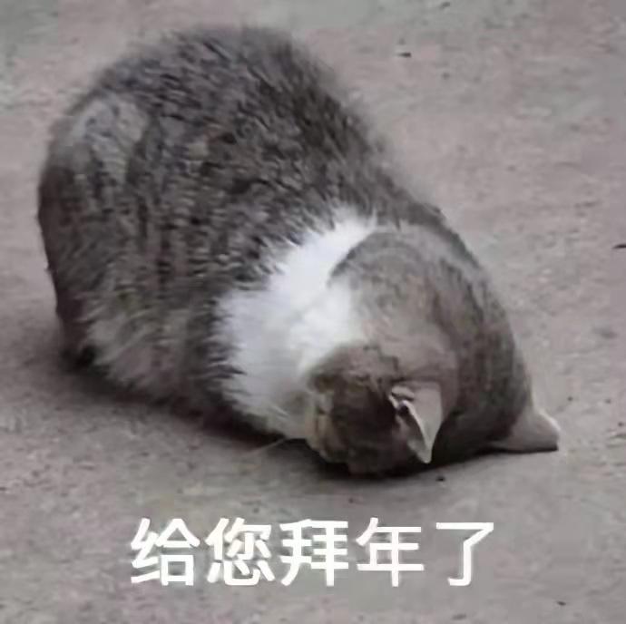 烫各种青菜的汤