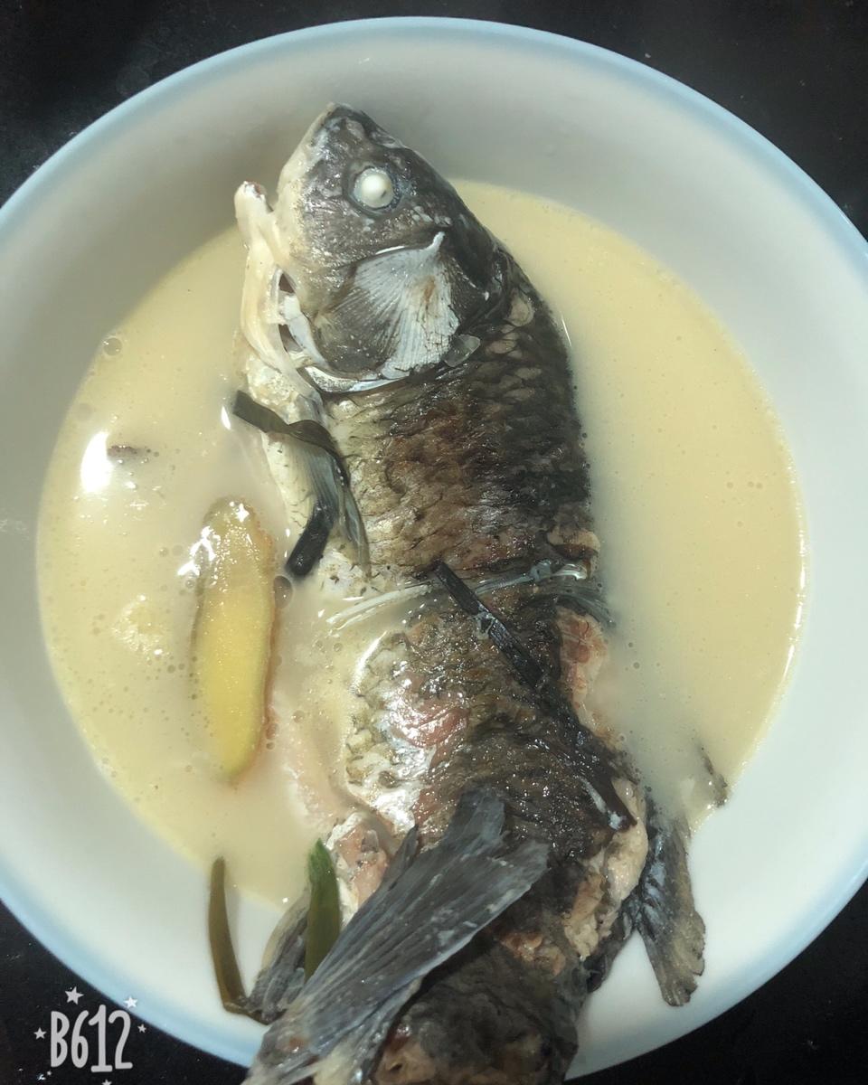 水容ci做的清炖鲫鱼汤 三个关键步骤让你轻松炖出汤浓味鲜色白似奶的