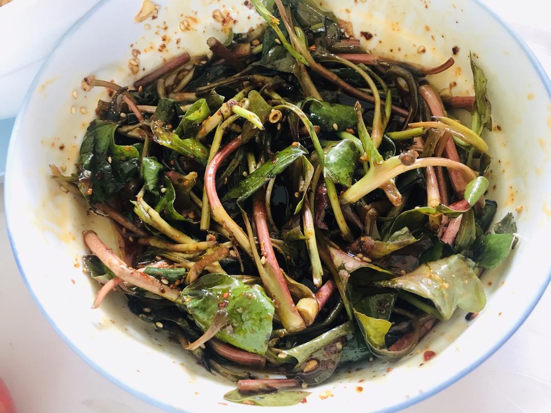 川味儿的折耳根😋