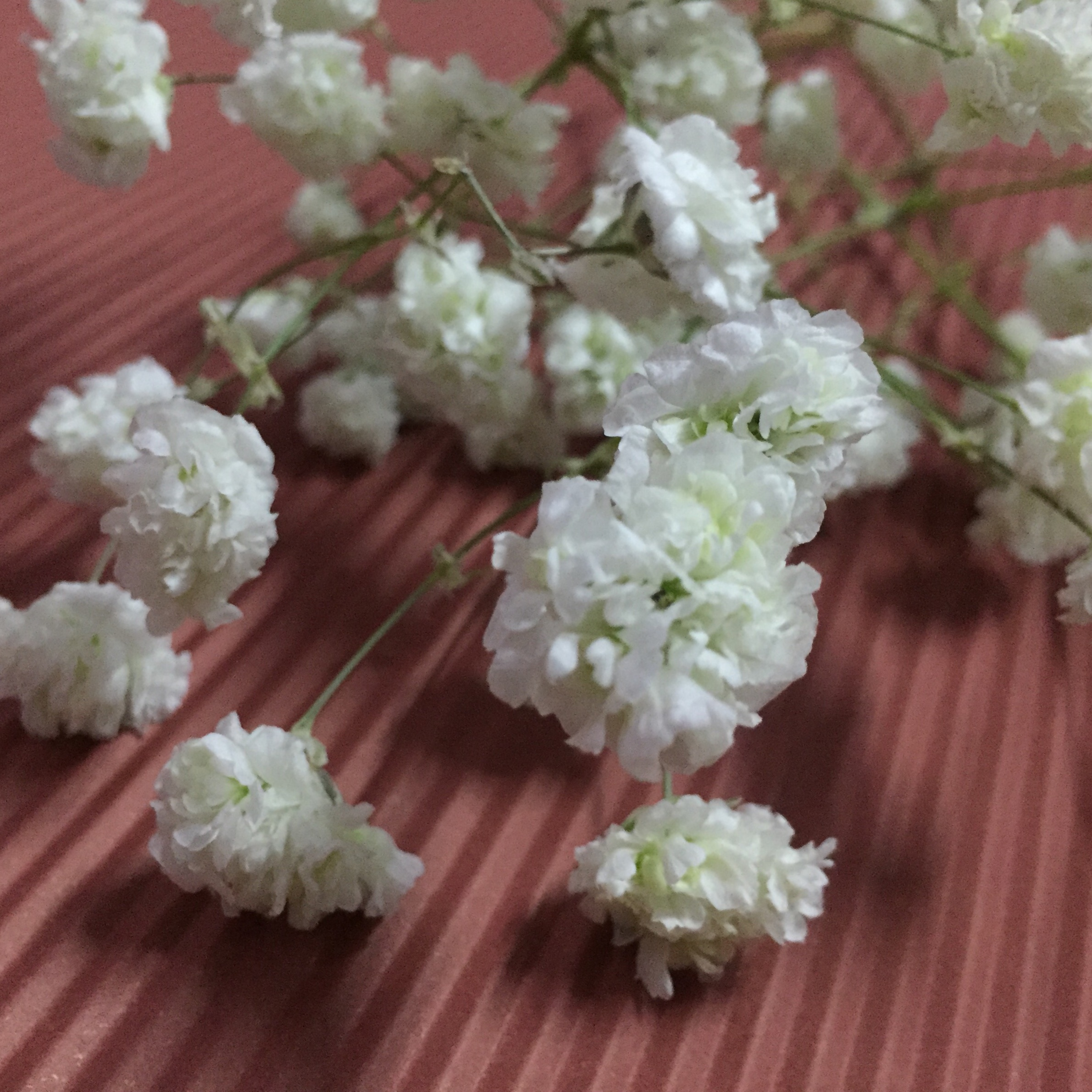 手机用户0770_pk21